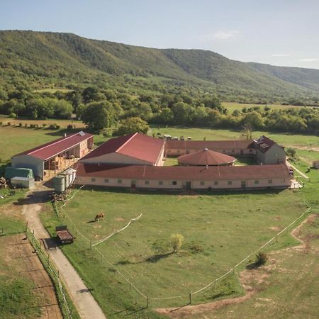 Tótvár lovas szálláshely Kovagotottos Exterior foto