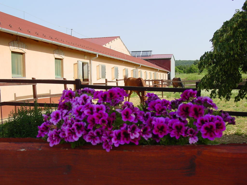 Tótvár lovas szálláshely Kovagotottos Exterior foto