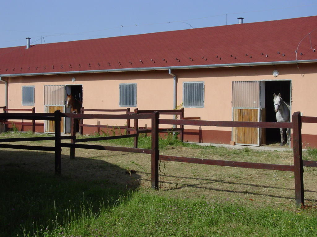 Tótvár lovas szálláshely Kovagotottos Exterior foto