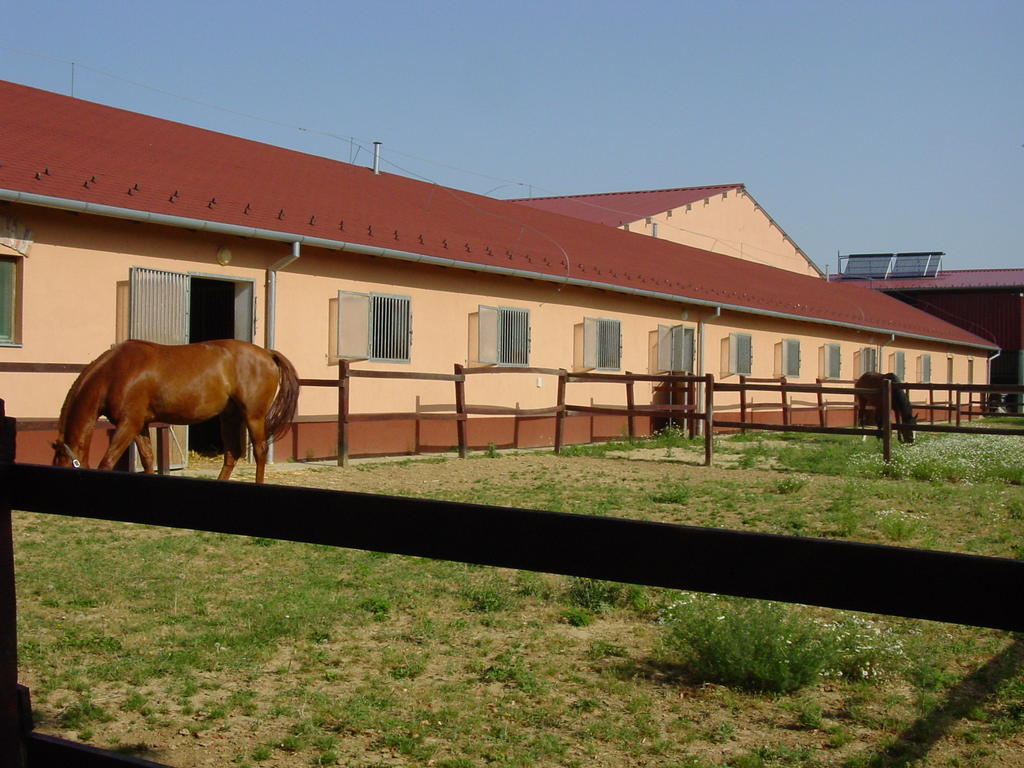 Tótvár lovas szálláshely Kovagotottos Exterior foto
